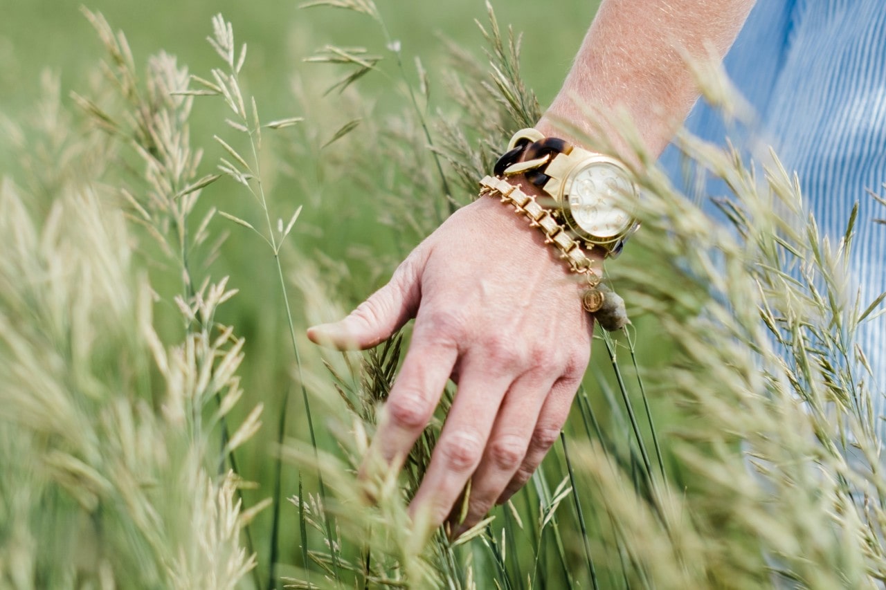 a close-up of a hand brushing grass wearing a luxury watch and bracelet