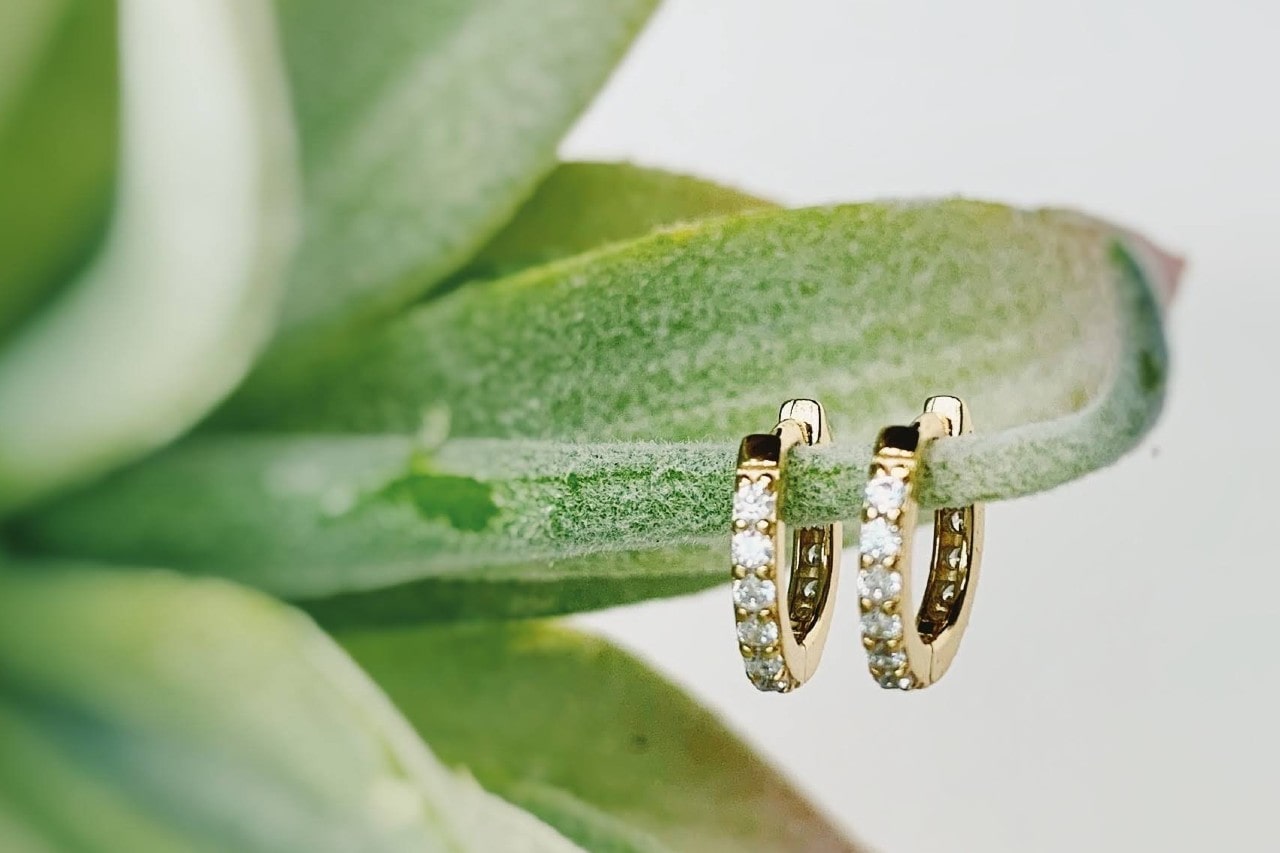 A pair of yellow gold diamond huggies hanging on the leaf of a succulent plant.