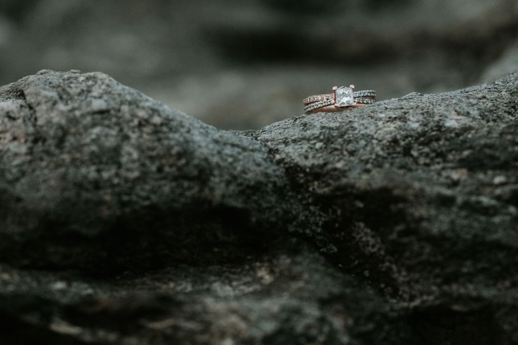 A modern two tone ring sits on a tree branch.